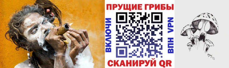 Галлюциногенные грибы мухоморы  Купить закладки  Звенигово 