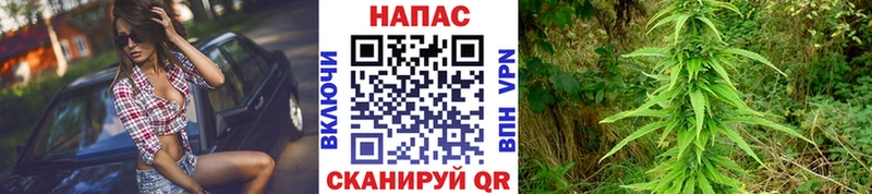 Канабис Bruce Banner  Купить закладки  Звенигово 